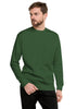Hurt Records - Premium Crew Sweatshirt product image