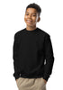 Hurt Records - Youth Sweatshirt product image