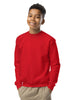 Hurt Records - Youth Sweatshirt product image