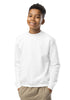 Hurt Records - Youth Sweatshirt product image