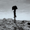 Lonely Soldier (Live)