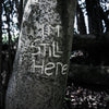I'm Still Here (Single)